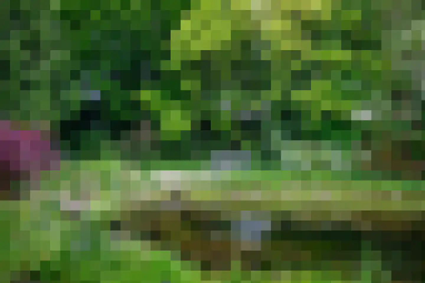 Burgemeester de Wijslaan 6 Brummen thumbnail 54