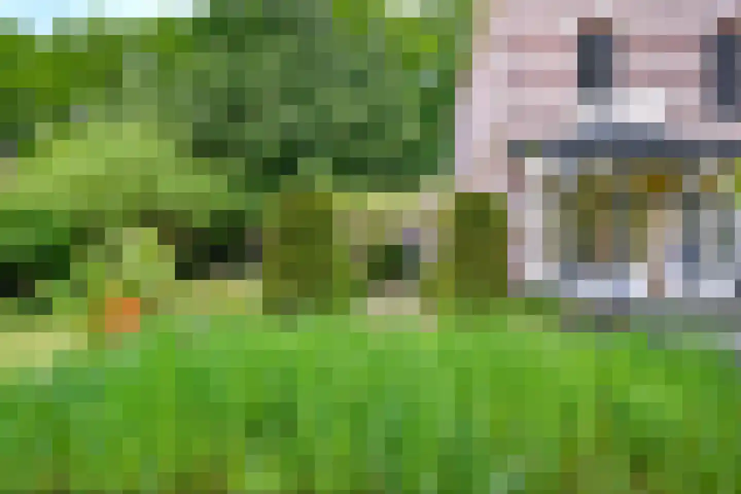 Burgemeester de Wijslaan 6 Brummen thumbnail 55