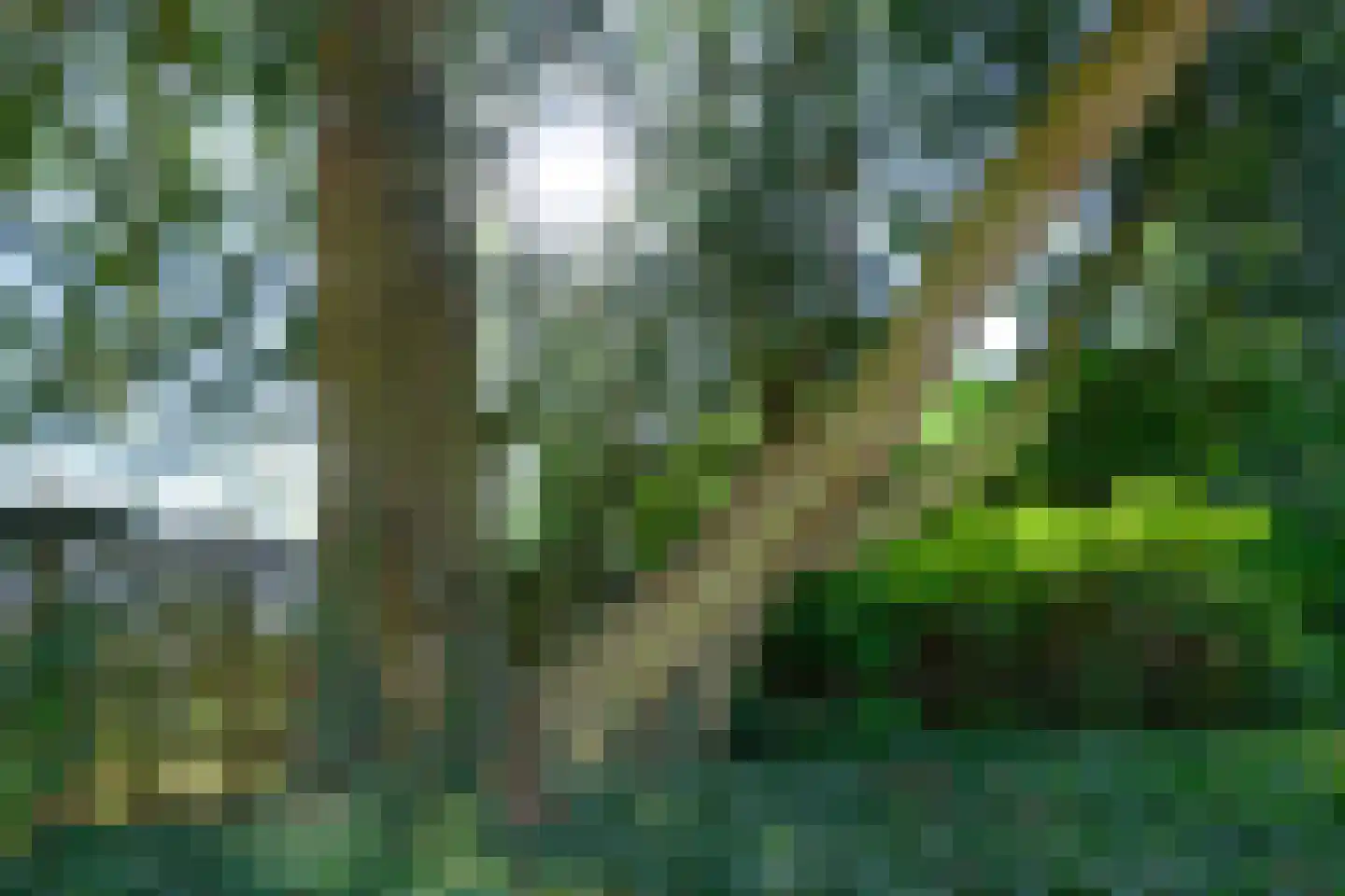 Burgemeester de Wijslaan 6 Brummen thumbnail 57