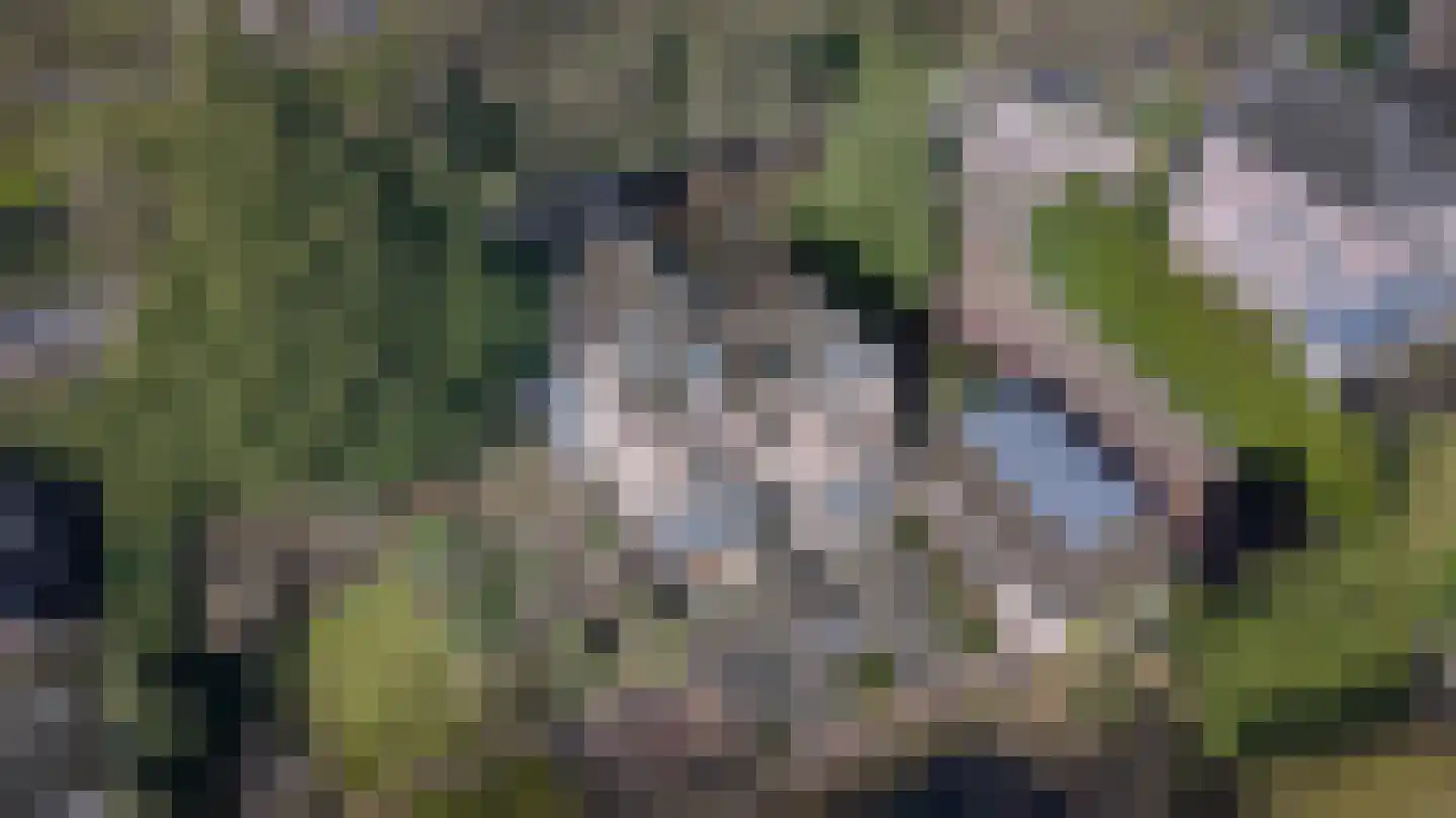 Burgemeester de Wijslaan 6 Brummen thumbnail 58