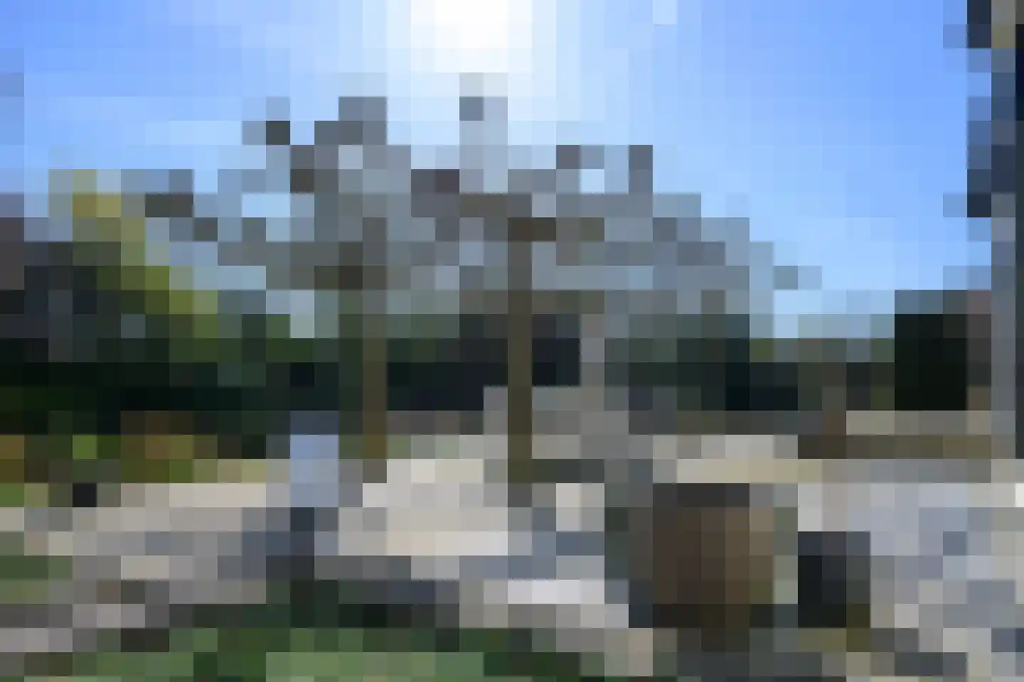 Burgemeester de Wijslaan 6 Brummen thumbnail 63