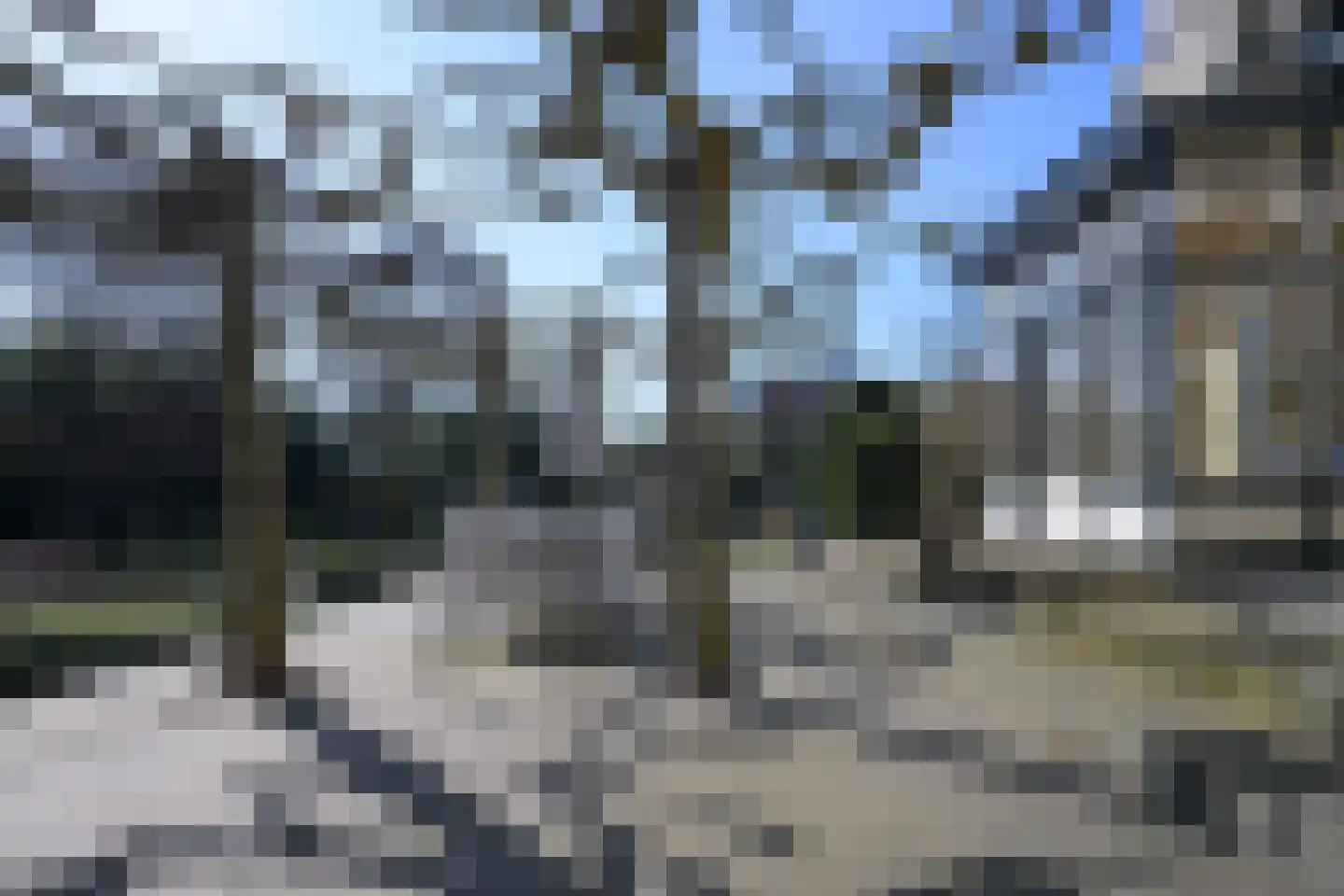 Burgemeester de Wijslaan 6 Brummen thumbnail 64