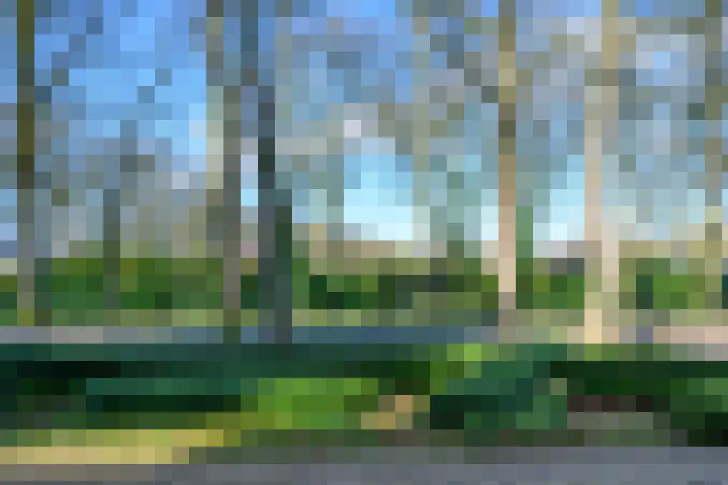 Burgemeester de Wijslaan 6 Brummen thumbnail 64