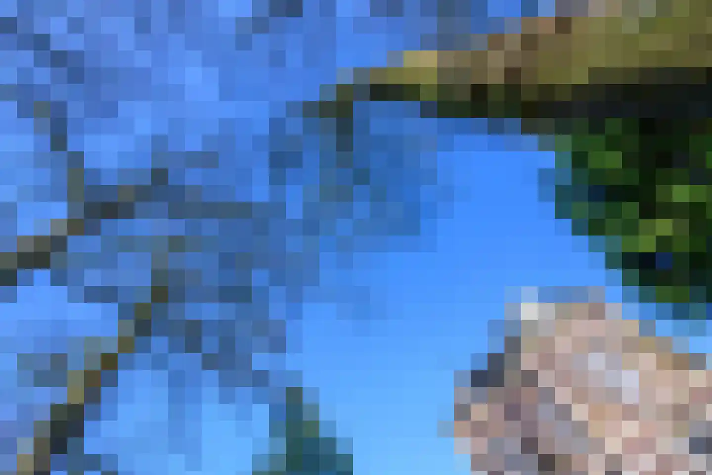 Burgemeester de Wijslaan 6 Brummen thumbnail 67