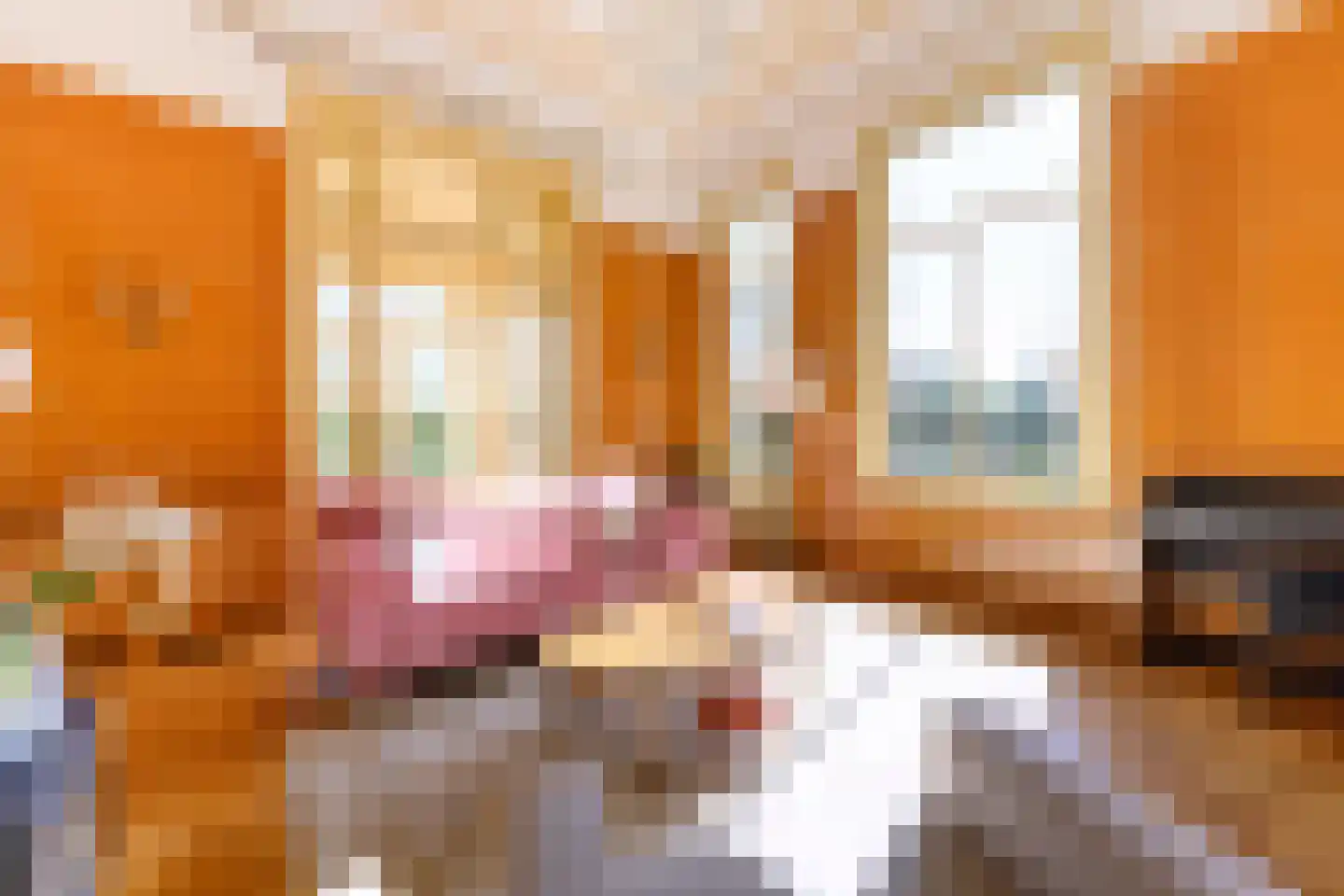 Burgemeester de Wijslaan 6 Brummen thumbnail 7