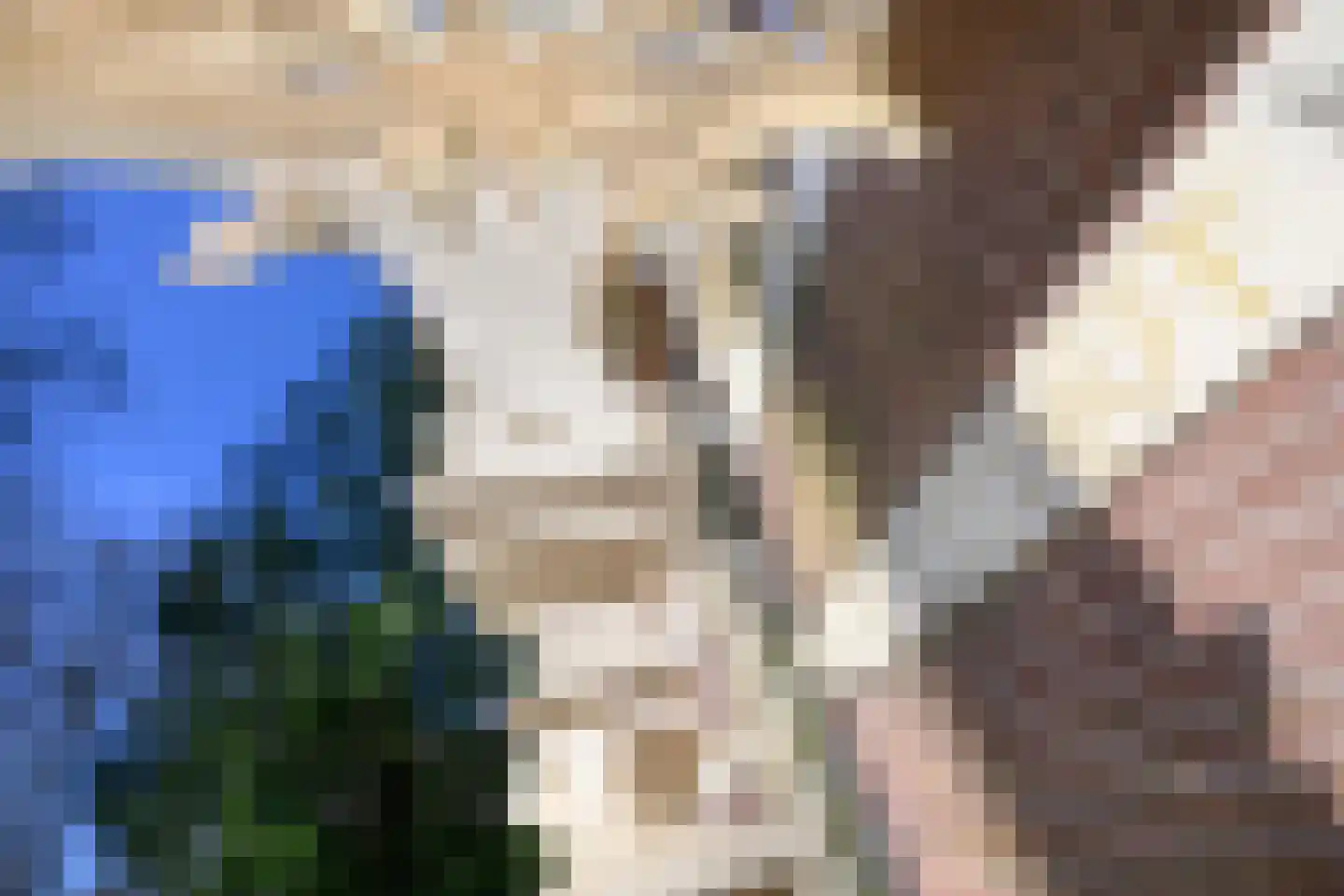 Burgemeester de Wijslaan 6 Brummen thumbnail 71