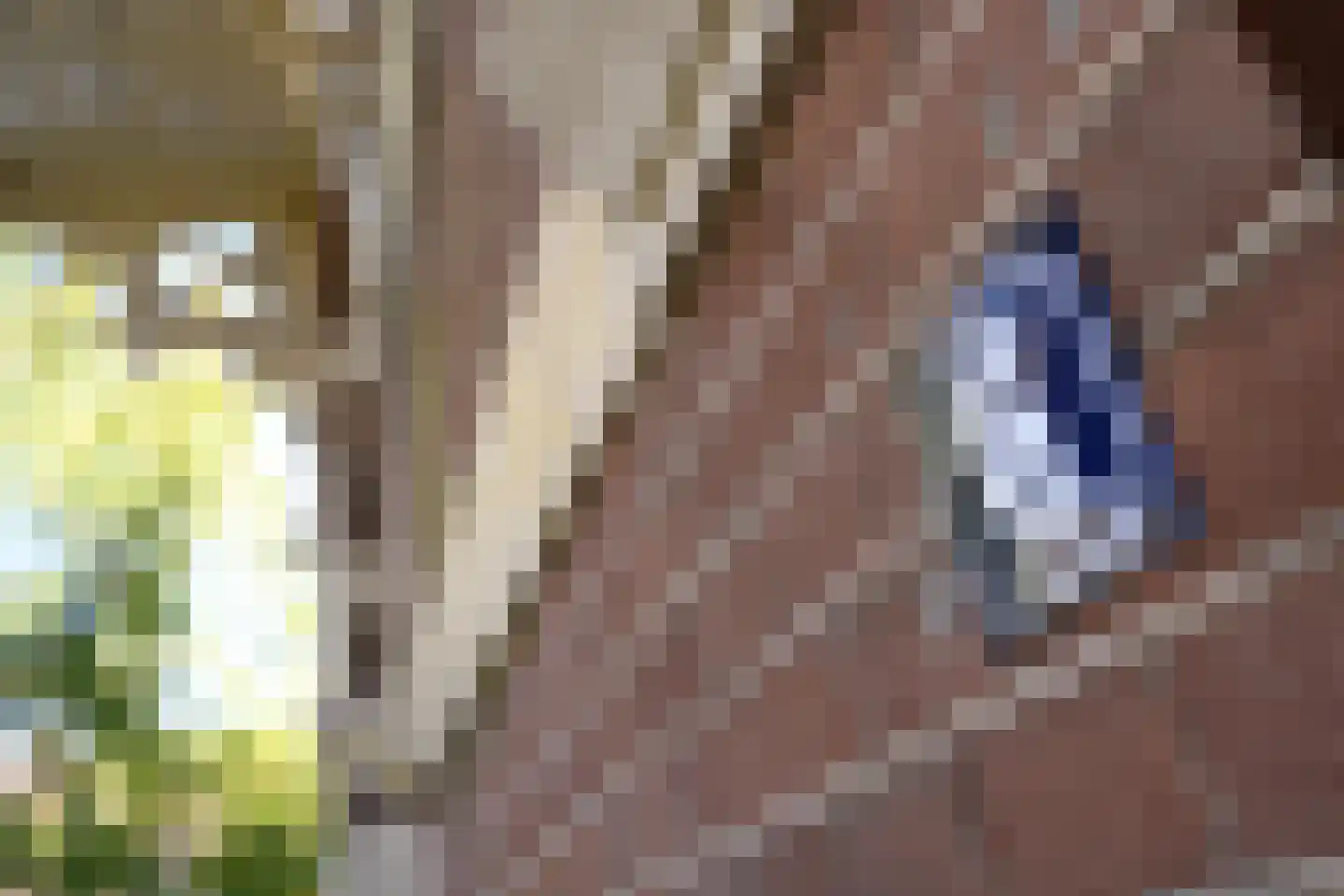 Burgemeester de Wijslaan 6 Brummen thumbnail 72