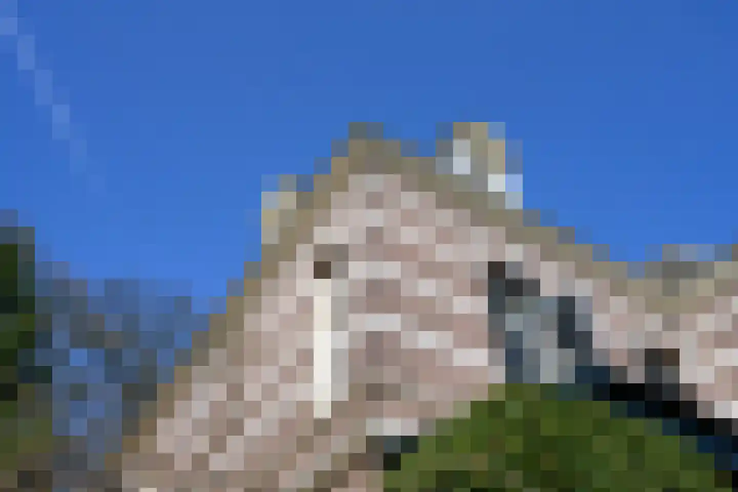 Burgemeester de Wijslaan 6 Brummen thumbnail 73