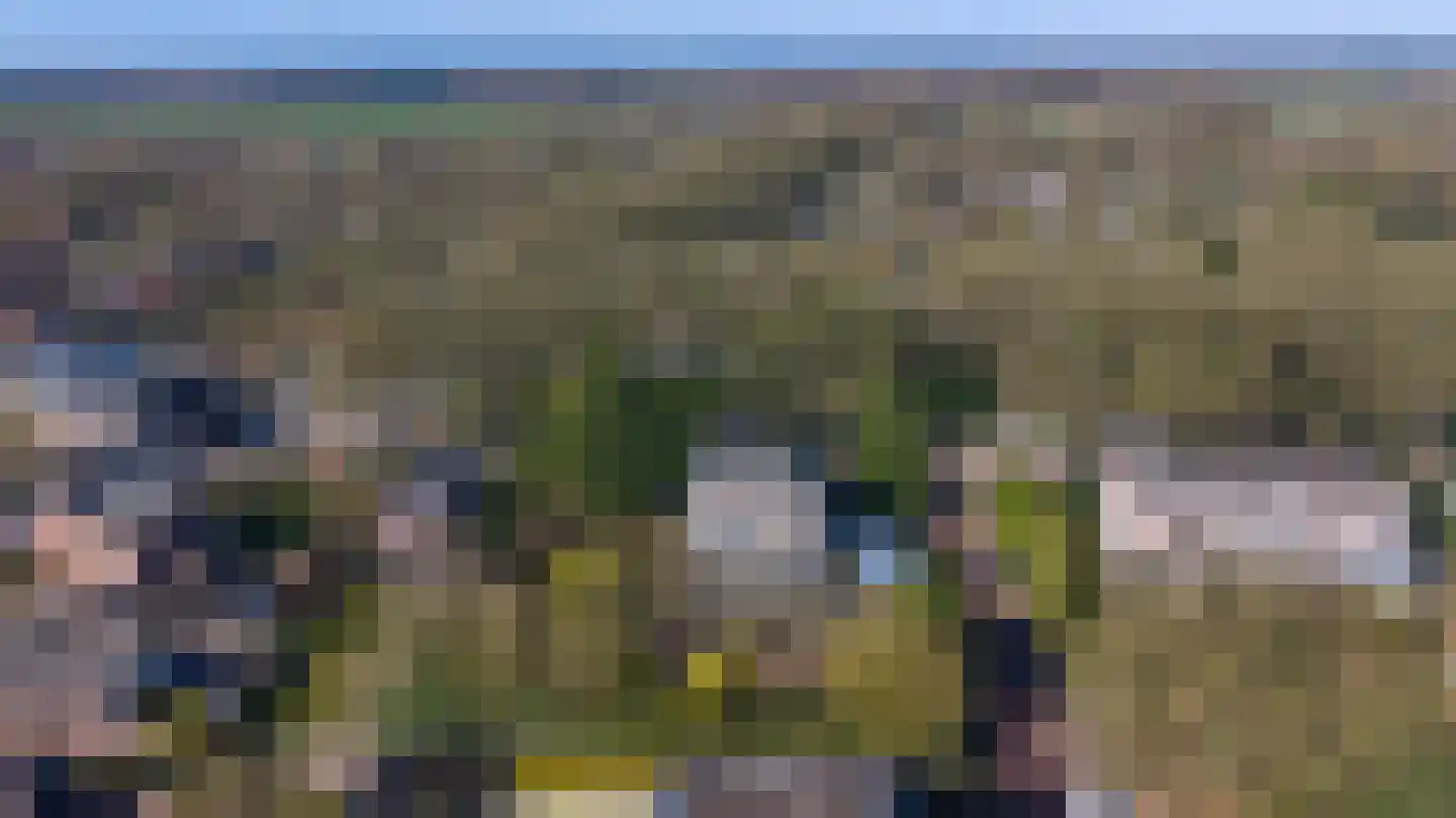 Burgemeester de Wijslaan 6 Brummen thumbnail 74