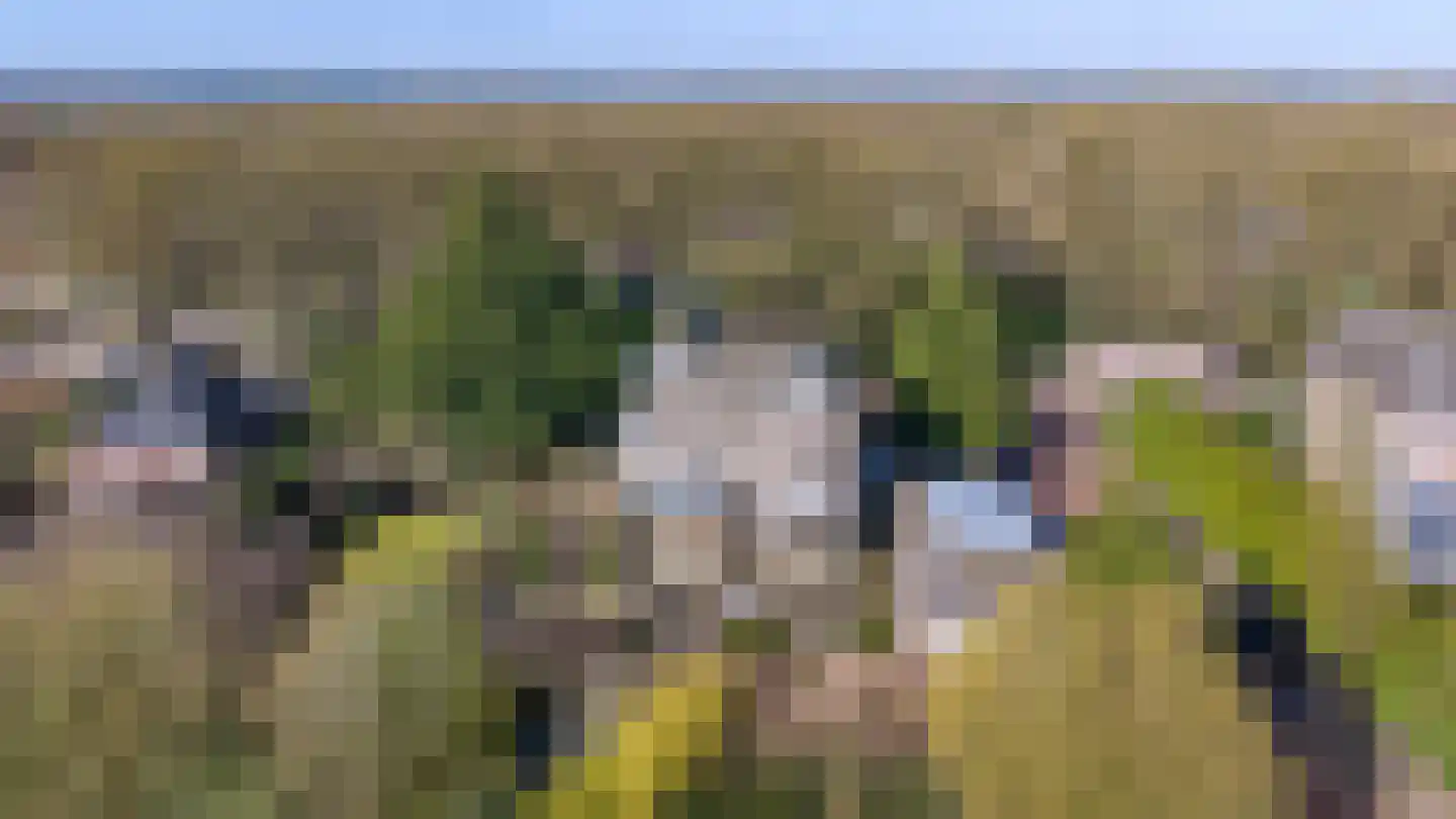 Burgemeester de Wijslaan 6 Brummen thumbnail 75