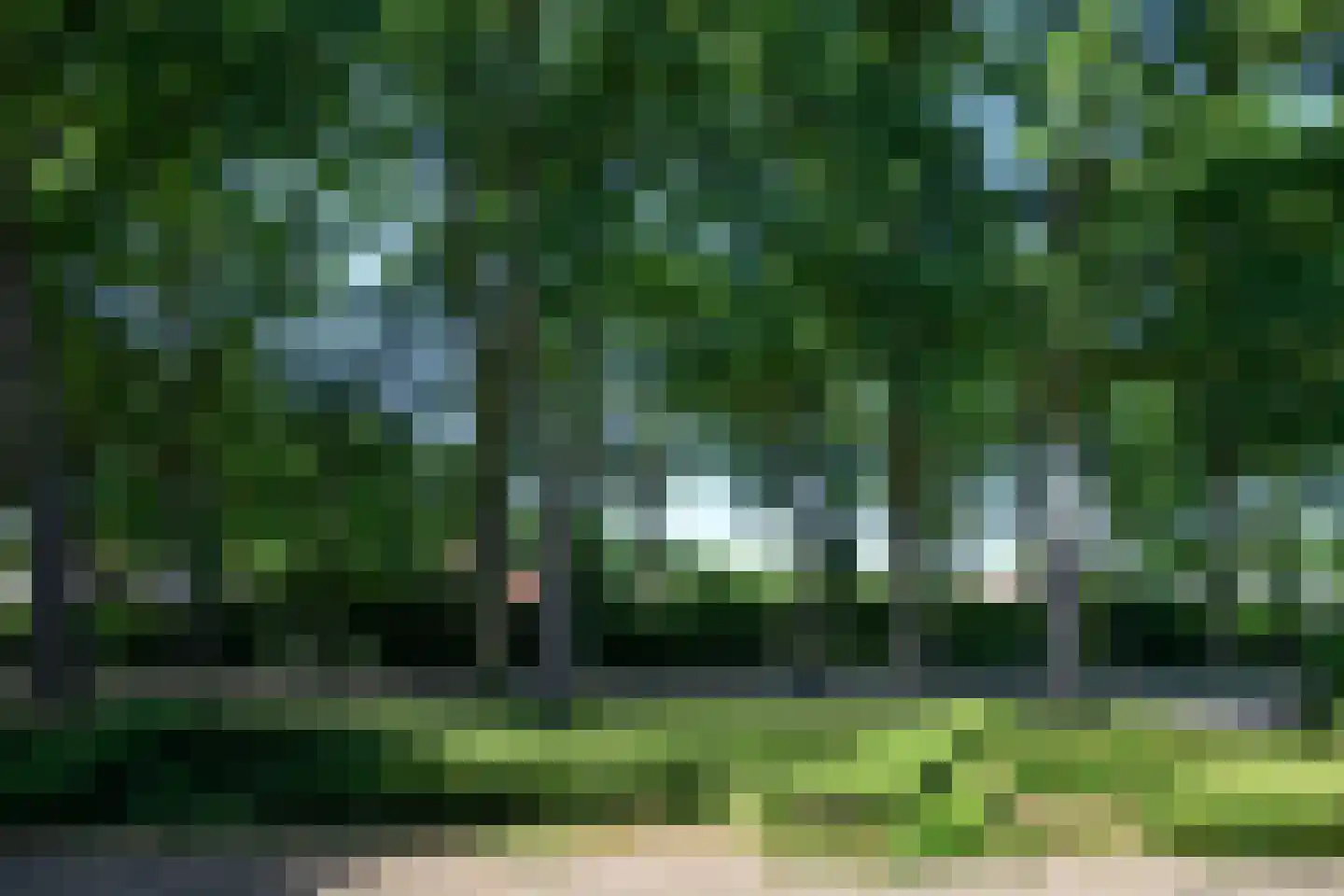 Burgemeester de Wijslaan 6 Brummen thumbnail 76