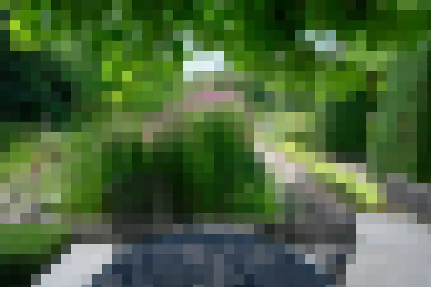 Burgemeester de Wijslaan 6 Brummen thumbnail 79