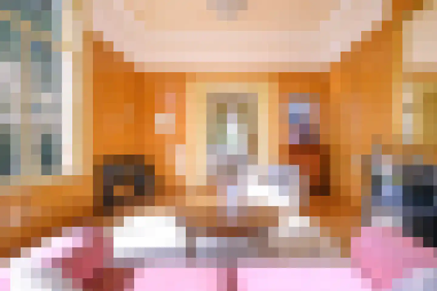 Burgemeester de Wijslaan 6 Brummen thumbnail 8