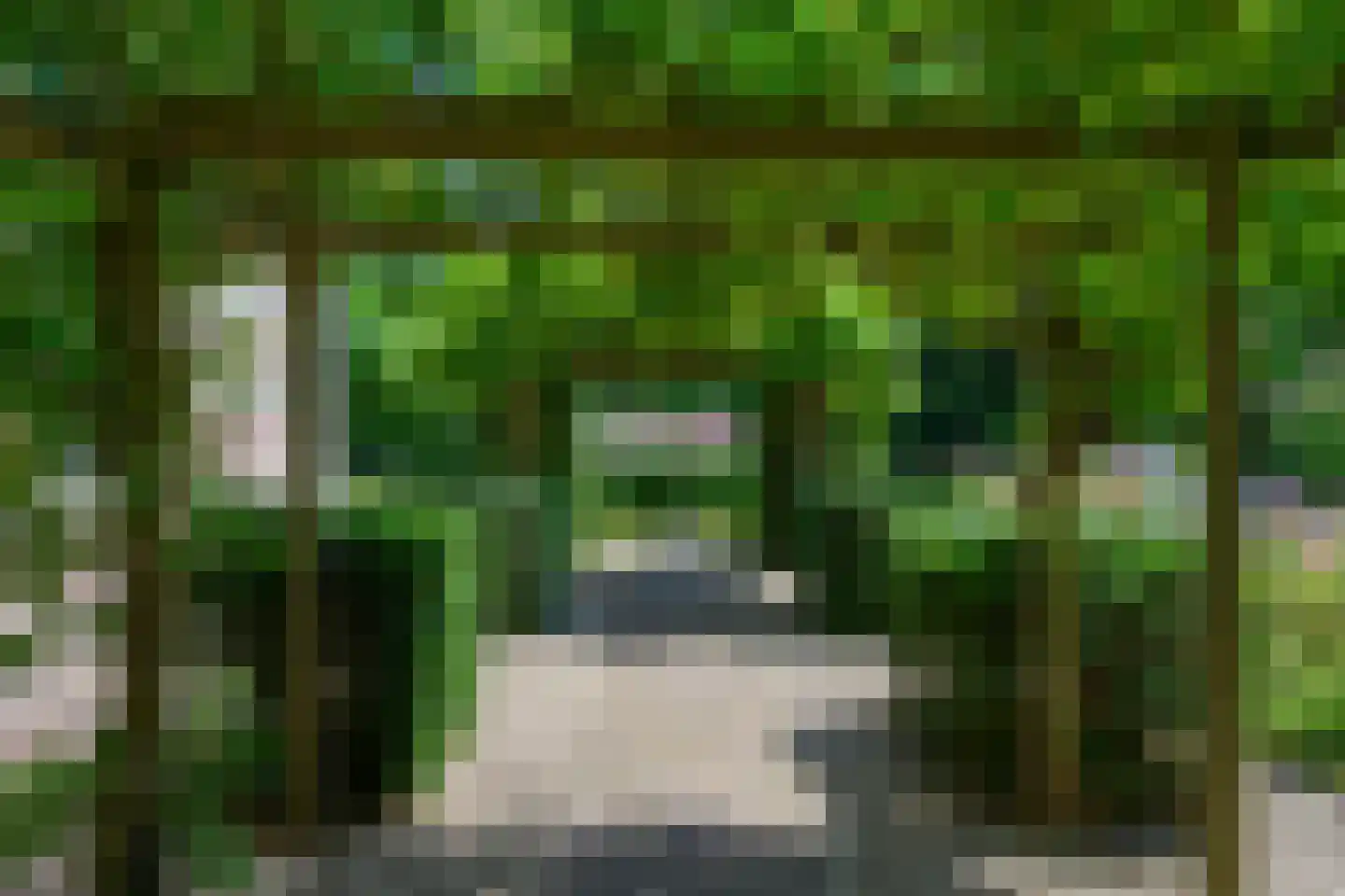 Burgemeester de Wijslaan 6 Brummen thumbnail 81