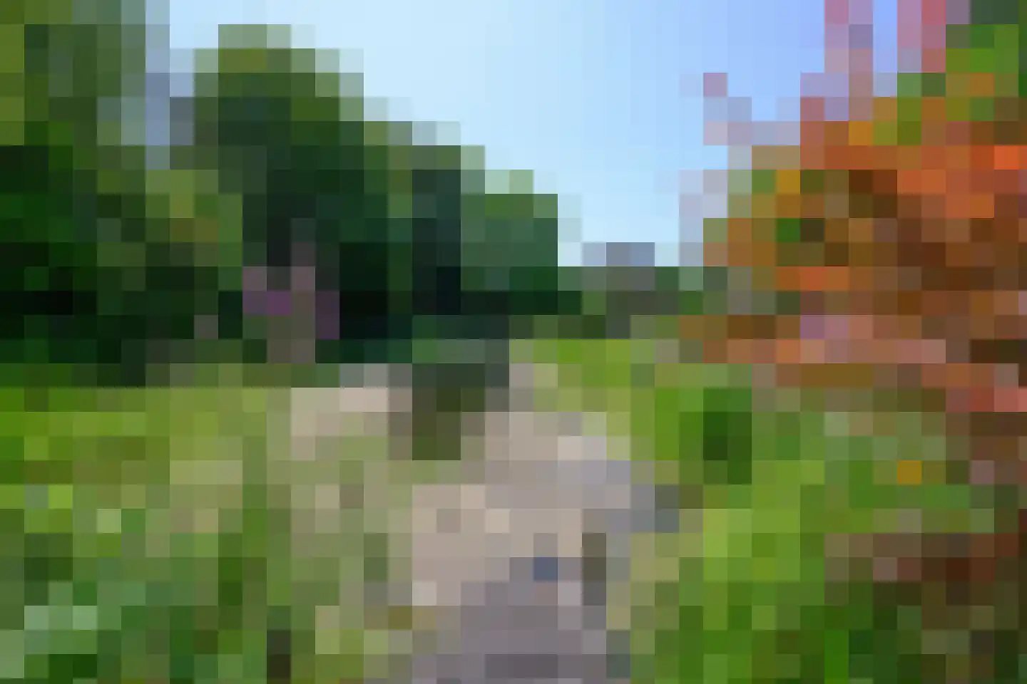 Burgemeester de Wijslaan 6 Brummen thumbnail 82