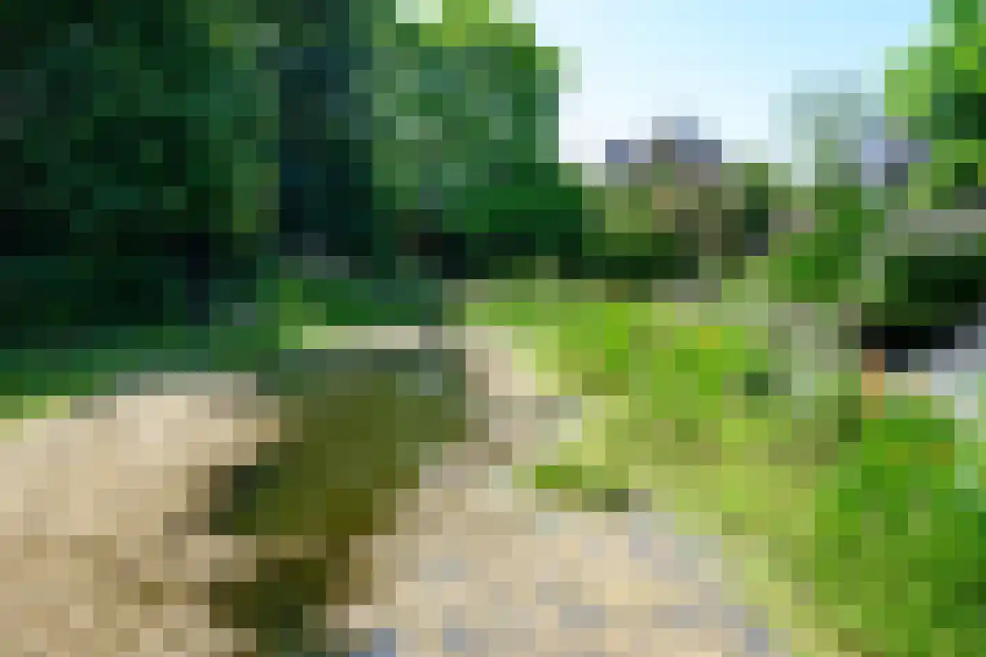 Burgemeester de Wijslaan 6 Brummen thumbnail 83