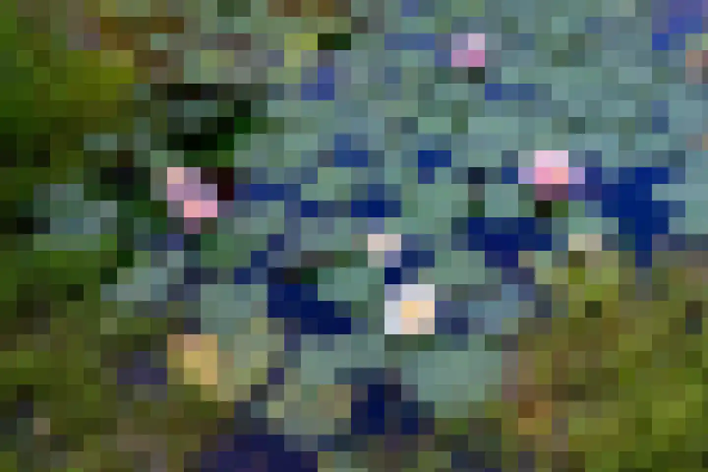 Burgemeester de Wijslaan 6 Brummen thumbnail 88