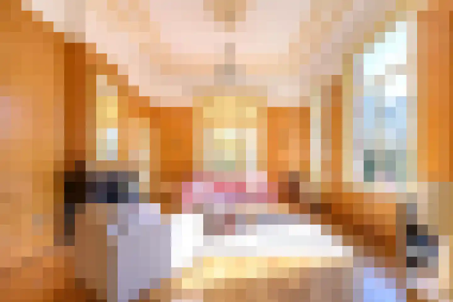 Burgemeester de Wijslaan 6 Brummen thumbnail 9