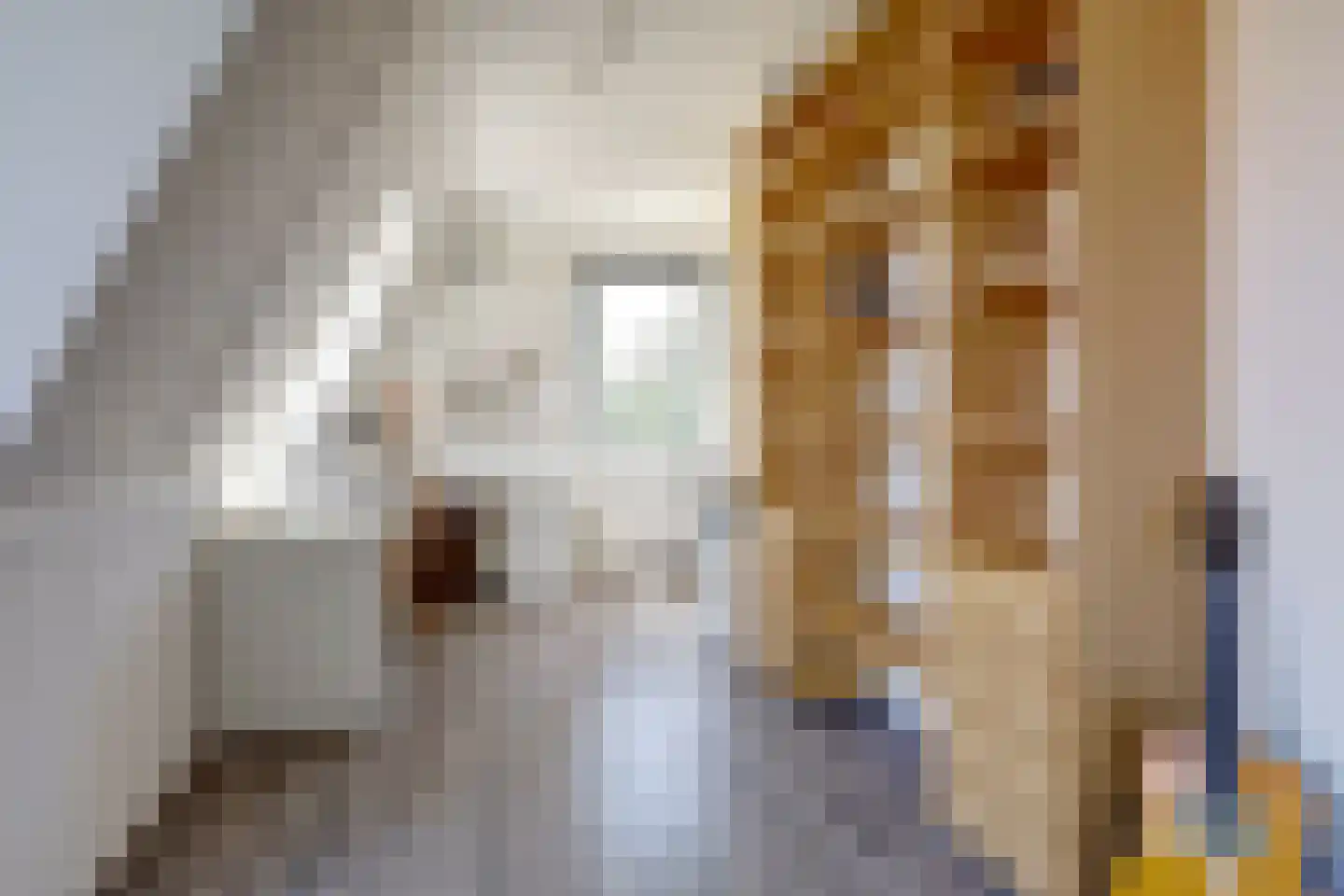 Burgemeester De Wildesingel 11 Valkenburg thumbnail 32