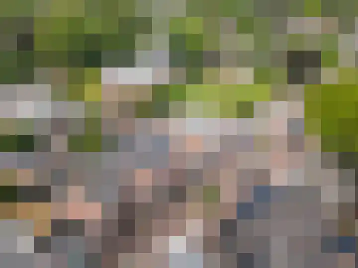 Burgemeester De Withstraat 13 De Bilt thumbnail 27