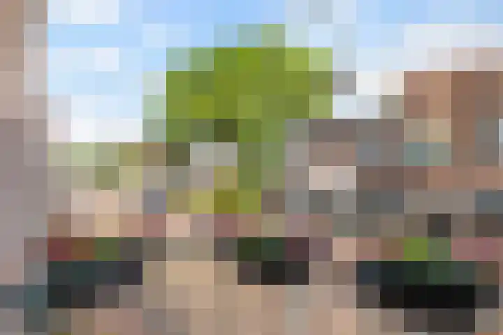 Burgemeester De Withstraat 13 De Bilt thumbnail 8