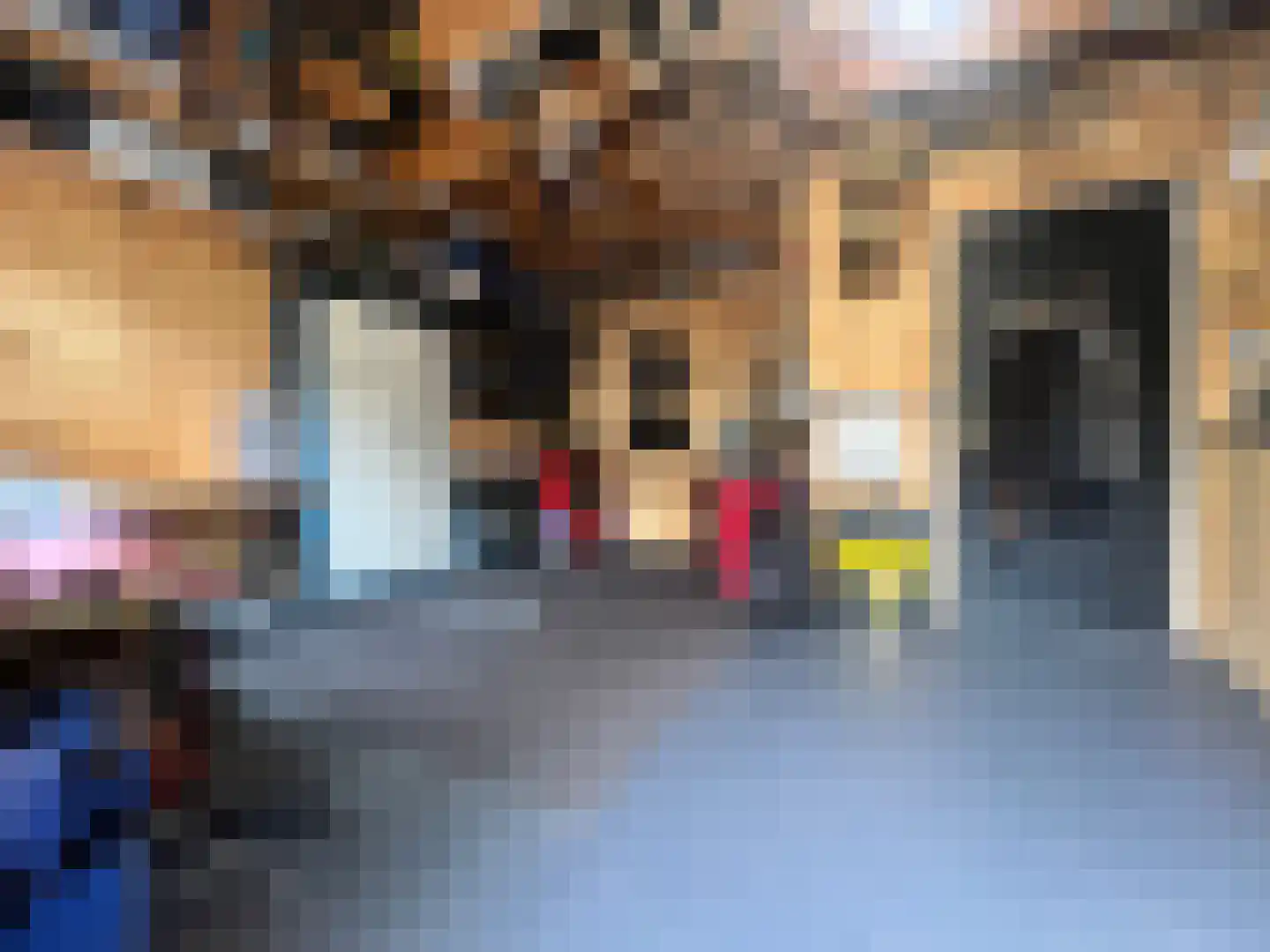 Burgemeester De Withstraat 30 De Bilt thumbnail 25