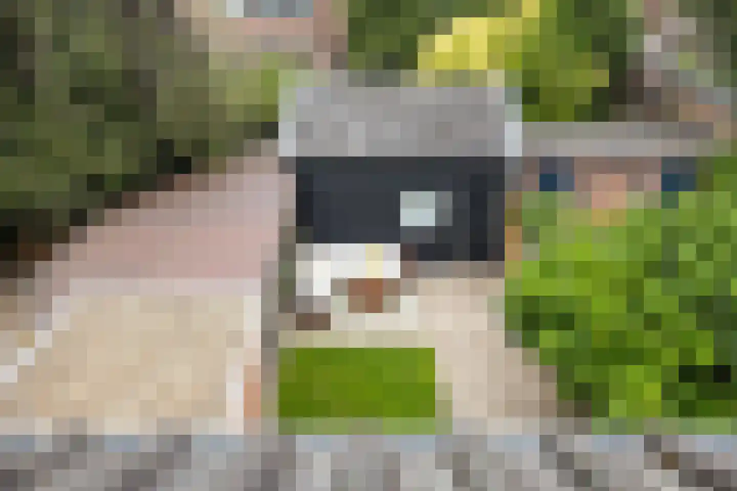 Burgemeester De Withstraat 74 De Bilt thumbnail 31