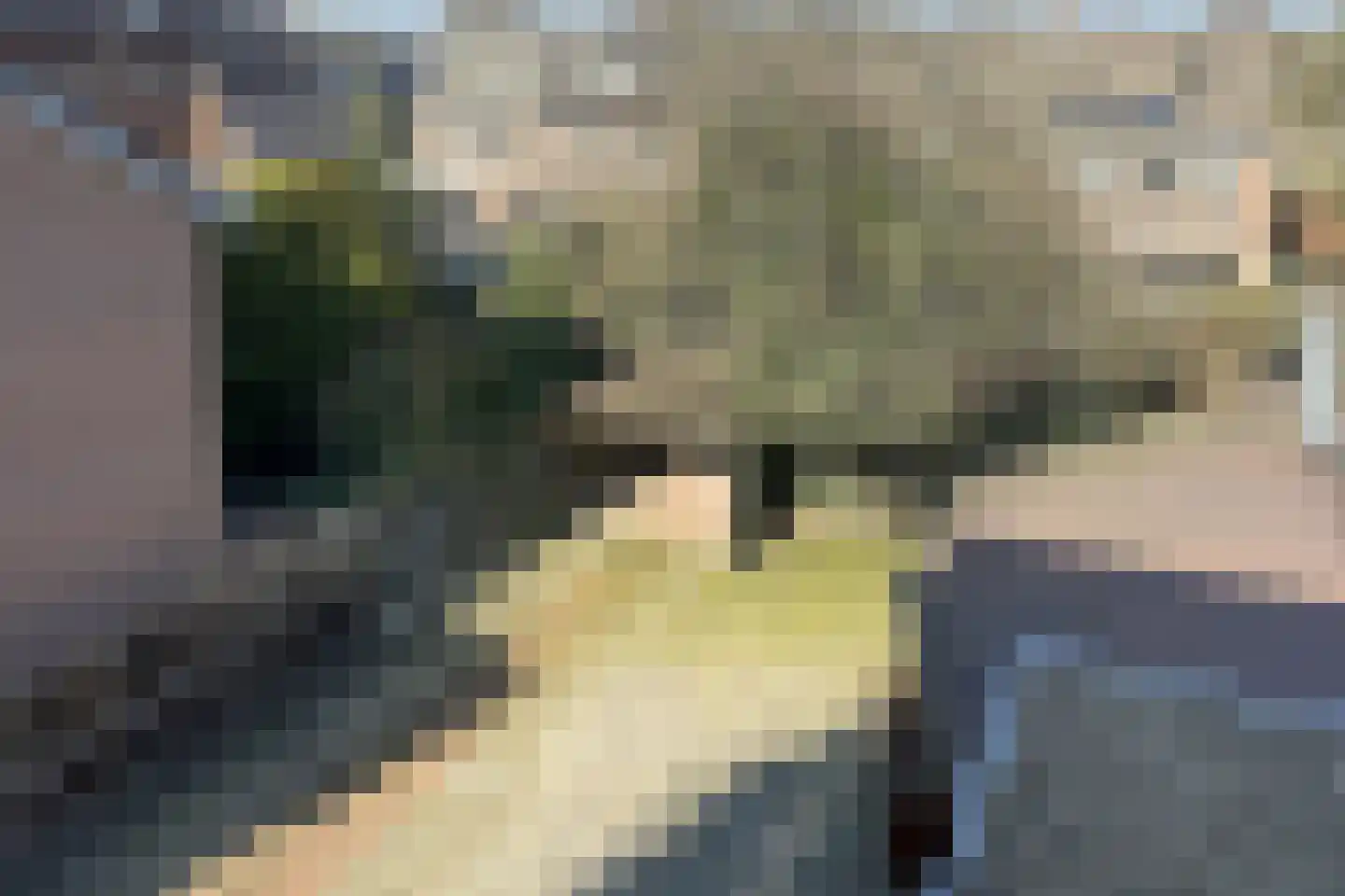 Burgemeester De Withstraat 76 De Bilt thumbnail 22