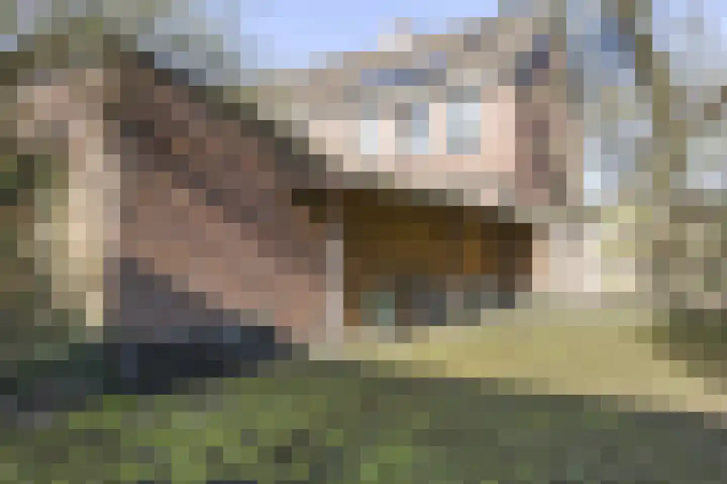 Burgemeester De Withstraat 76 De Bilt thumbnail 29