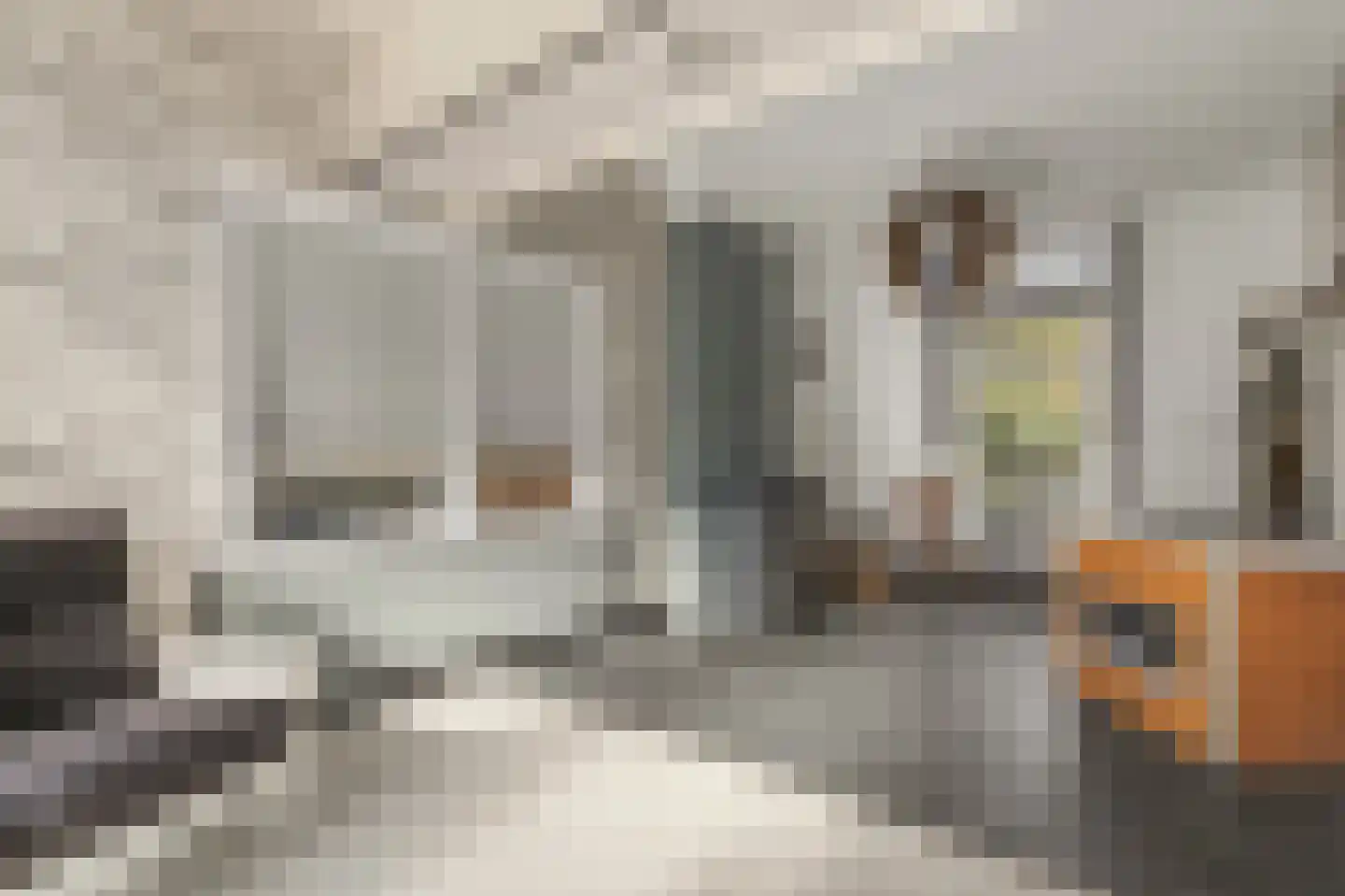 Burgemeester De Withstraat 76 De Bilt thumbnail 6