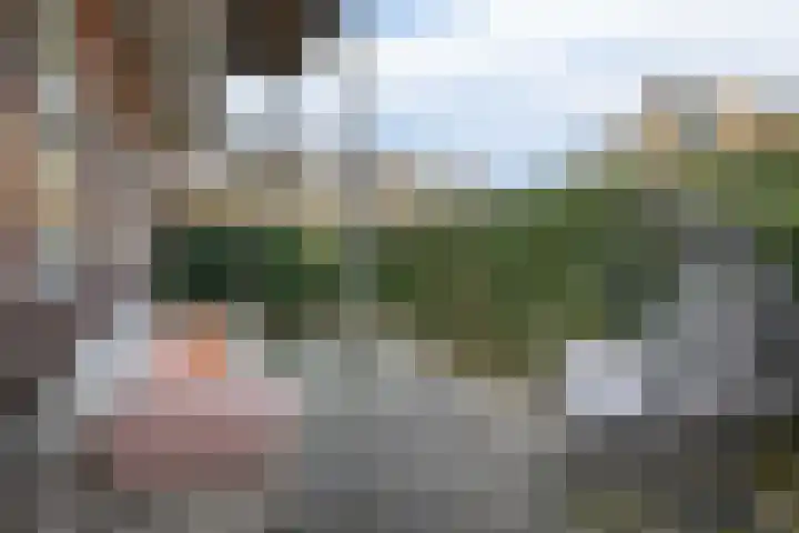 Burgemeester De Withstraat 86 B De Bilt thumbnail 4