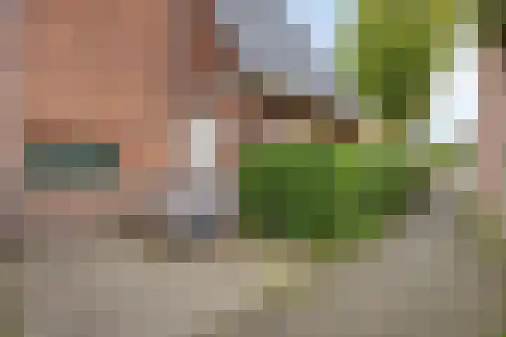 Burgemeester De Withstraat 86 D De Bilt thumbnail 20
