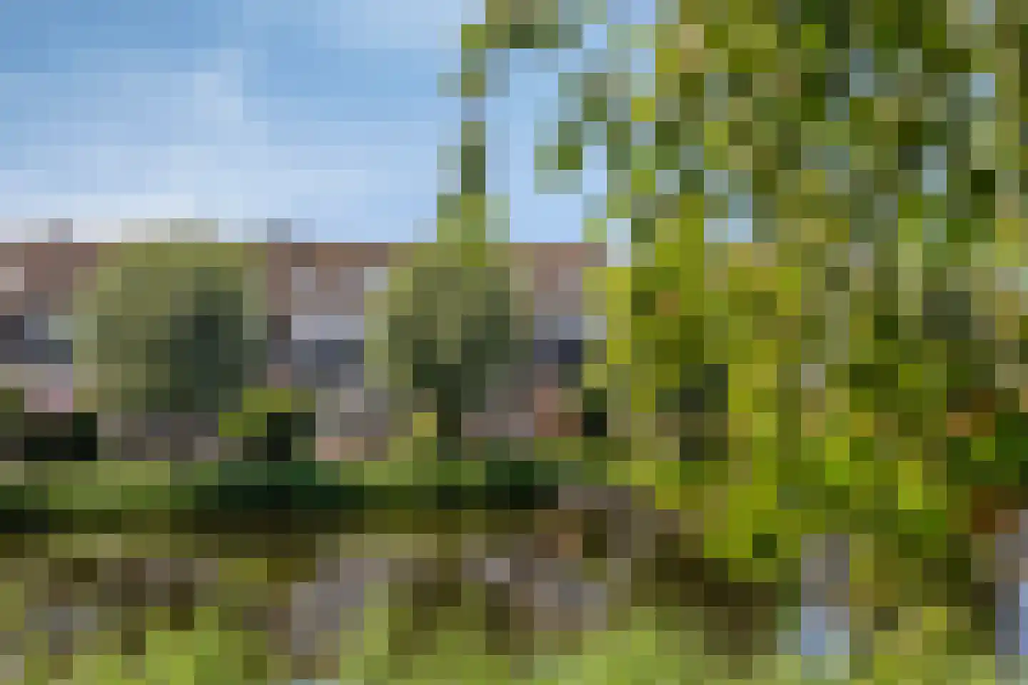 Burgemeester De Zeeuwlaan 10 Ouderkerk aan den IJssel thumbnail 5