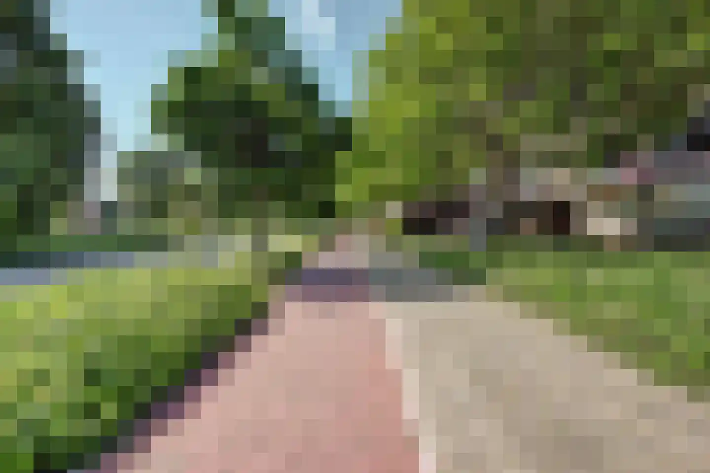 Burgemeester de Zeeuwstraat 180 Ridderkerk thumbnail 5