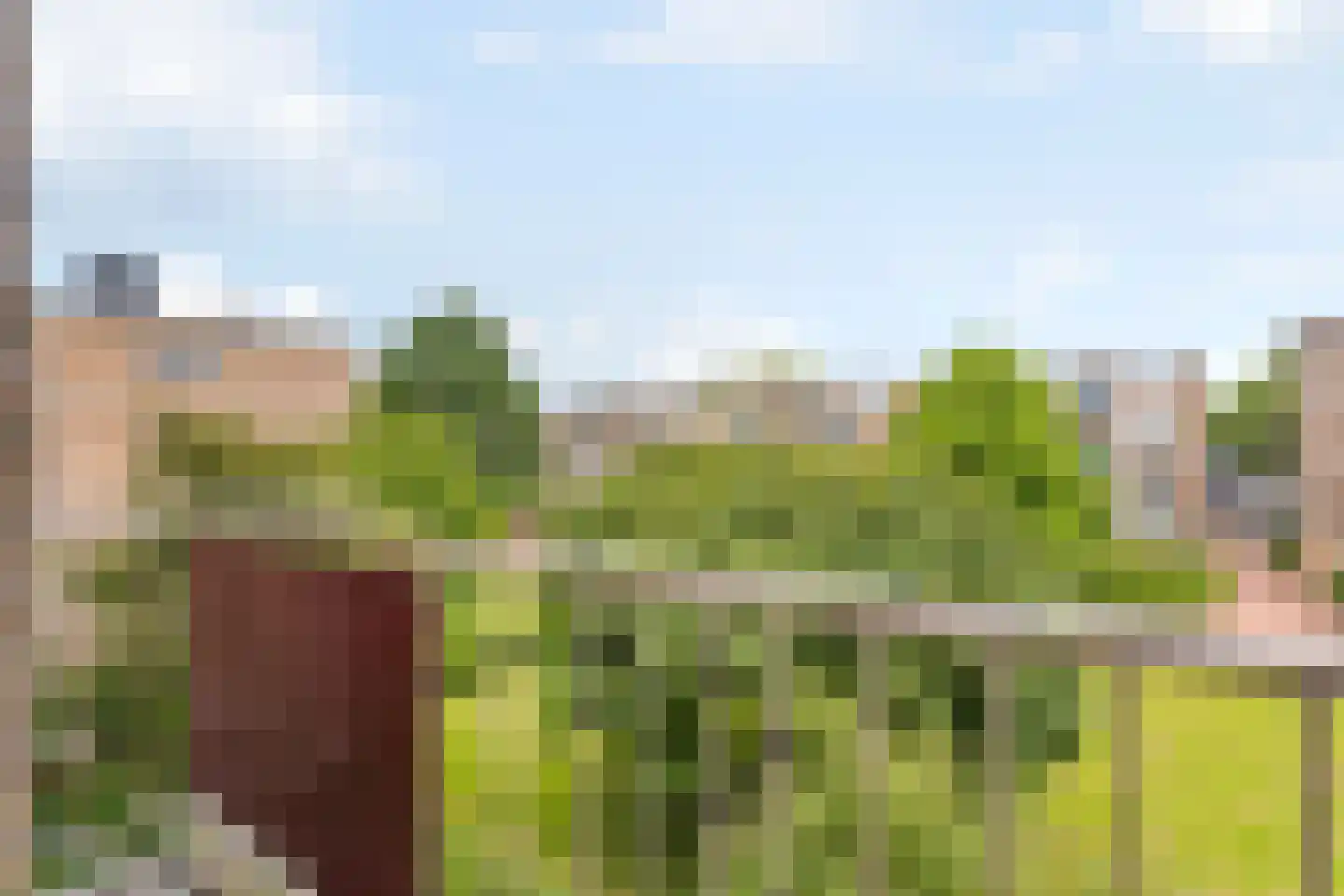 Burgemeester de Zeeuwstraat 192 Ridderkerk thumbnail 10