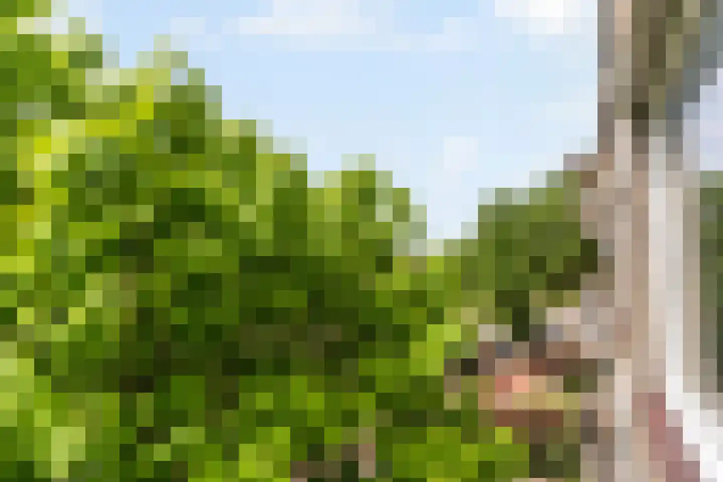 Burgemeester de Zeeuwstraat 192 Ridderkerk thumbnail 20