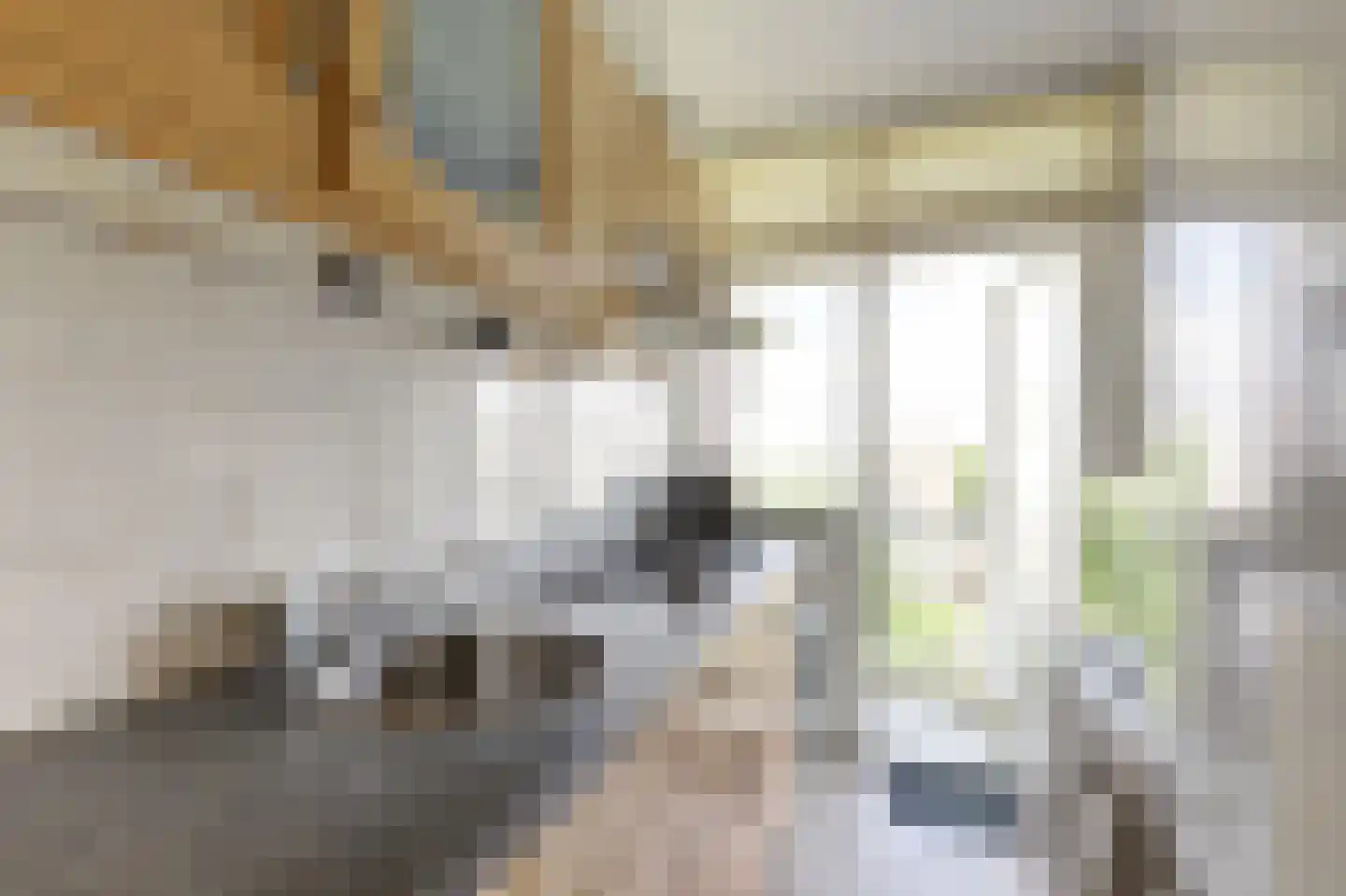 Burgemeester de Zeeuwstraat 194 Ridderkerk thumbnail 10