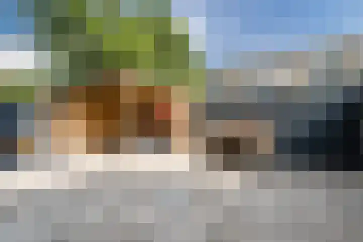 Burgemeester de Zeeuwstraat 210 Ridderkerk thumbnail 32