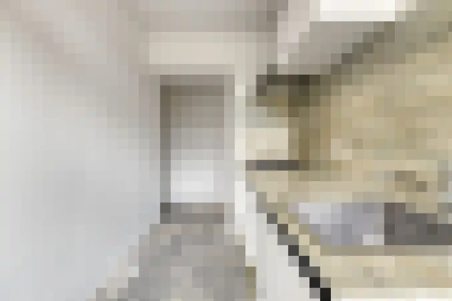 Burgemeester de Zeeuwstraat 246 Ridderkerk thumbnail 14