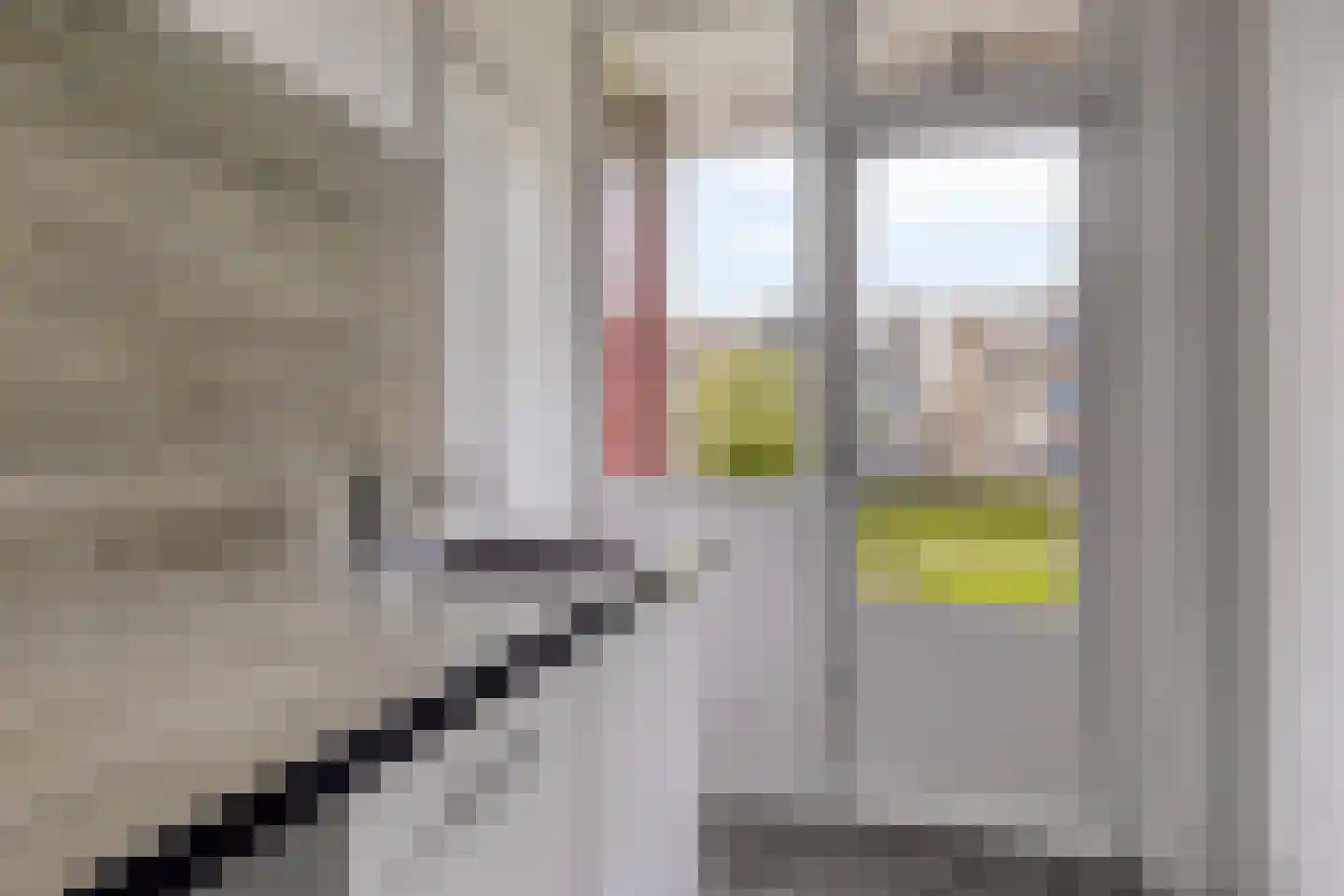 Burgemeester de Zeeuwstraat 246 Ridderkerk thumbnail 15