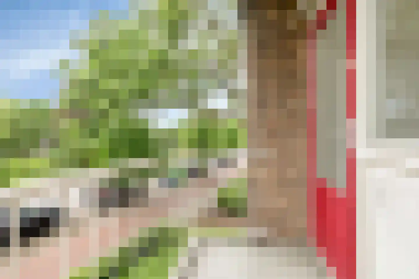 Burgemeester de Zeeuwstraat 246 Ridderkerk thumbnail 22