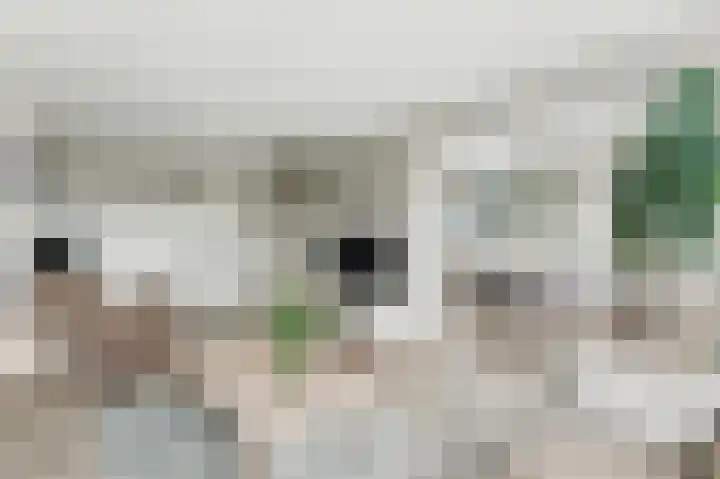 Burgemeester de Zeeuwstraat 304 in Ridderkerk