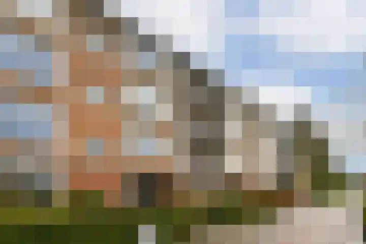 Burgemeester de Zeeuwstraat 314 in Ridderkerk