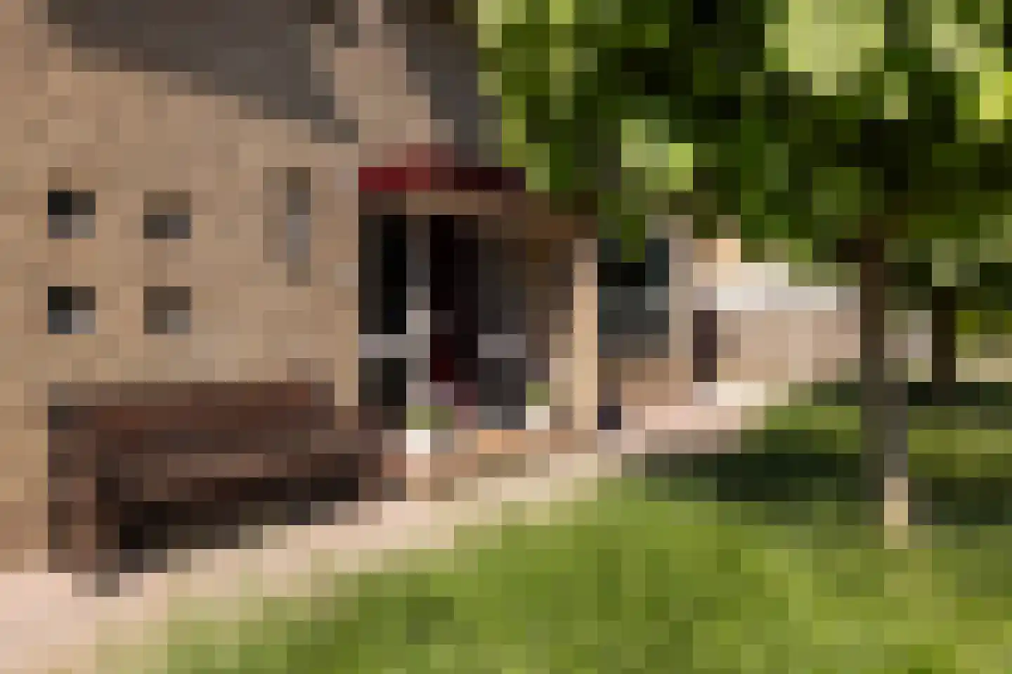 Burgemeester de Zeeuwstraat 33 Ridderkerk thumbnail 10