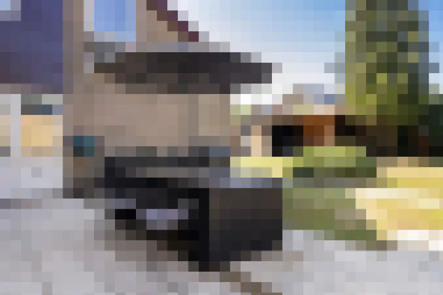 Burgemeester de Zeeuwstraat 33 Ridderkerk thumbnail 33