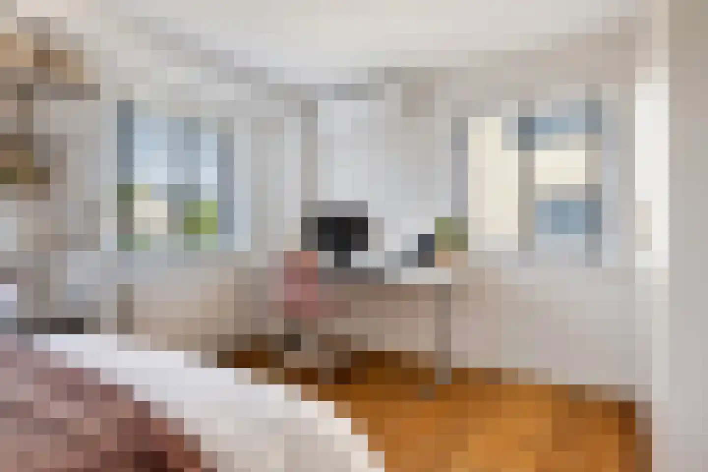 Burgemeester de Zeeuwstraat 33 Ridderkerk thumbnail 47