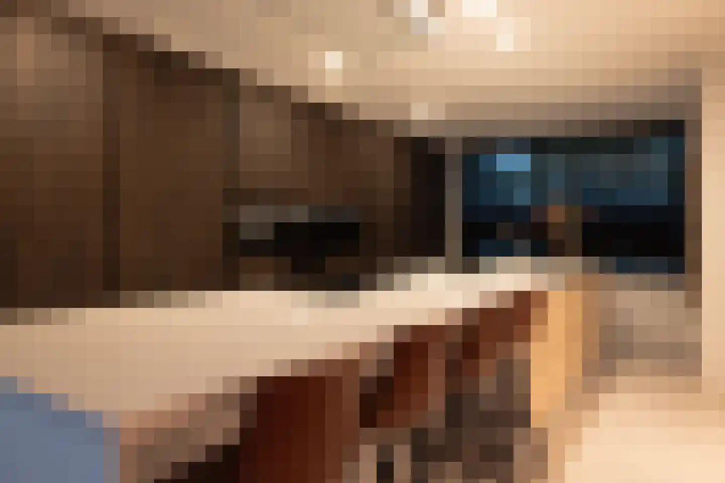 Burgemeester de Zeeuwstraat 33 Ridderkerk thumbnail 76