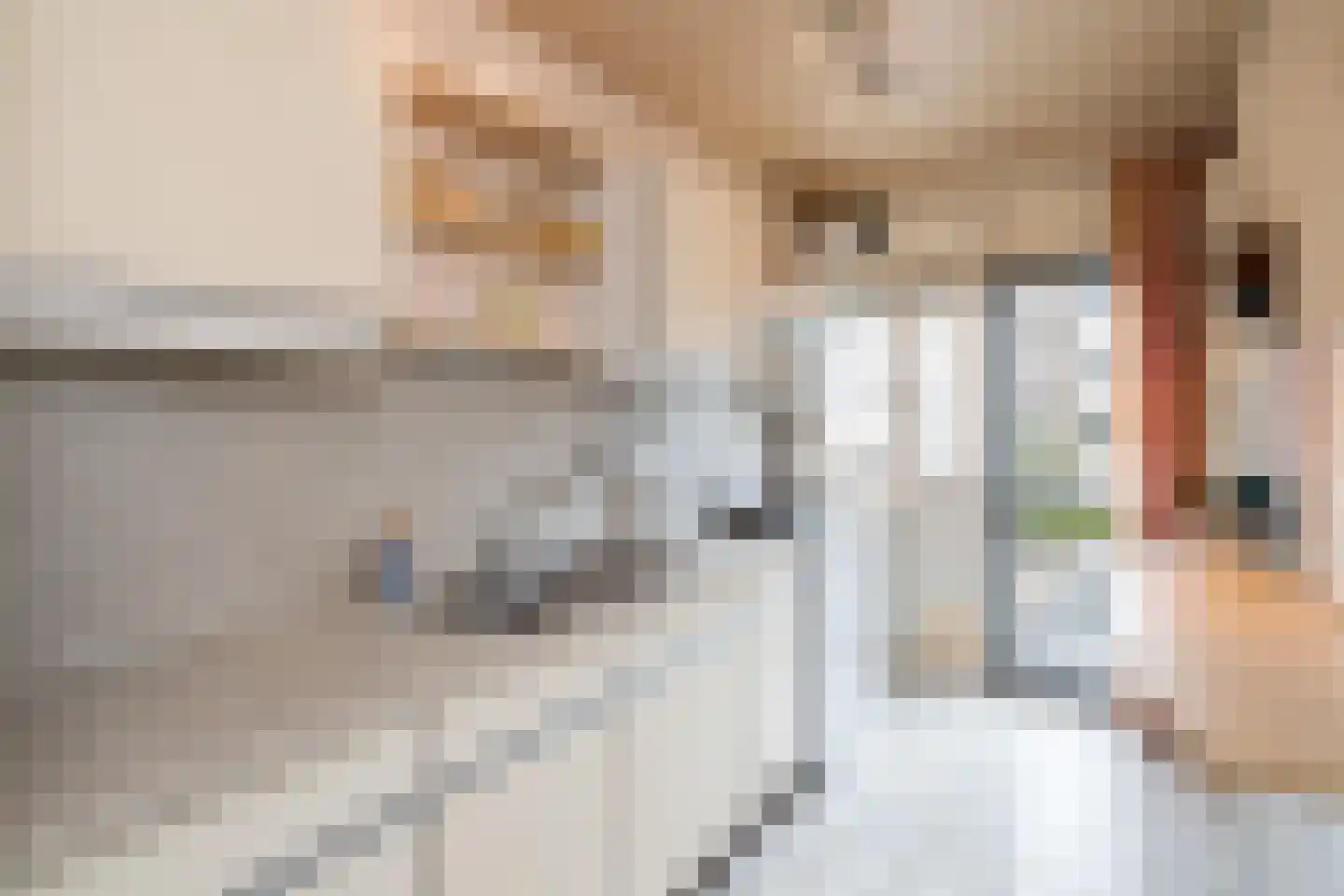 Burgemeester de Zeeuwstraat 356 Ridderkerk thumbnail 10