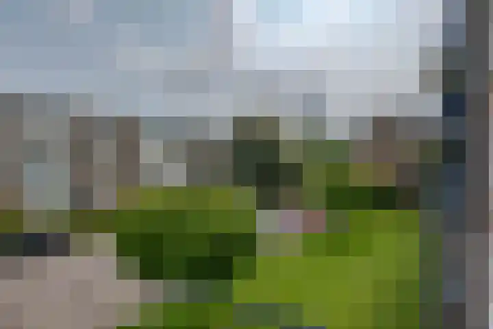 Burgemeester de Zeeuwstraat 372 Ridderkerk thumbnail 25