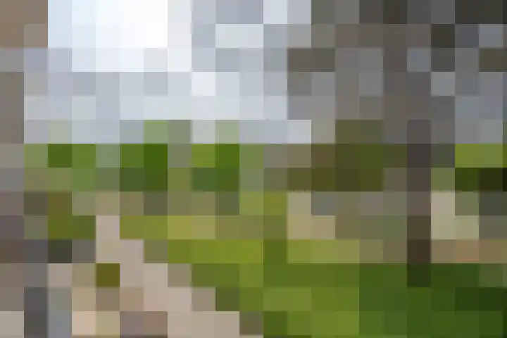 Burgemeester de Zeeuwstraat 372 Ridderkerk thumbnail 36